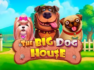 The Big Dog House