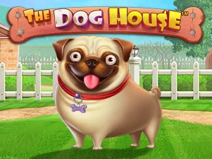 The Dog House