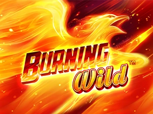 Burning WILD