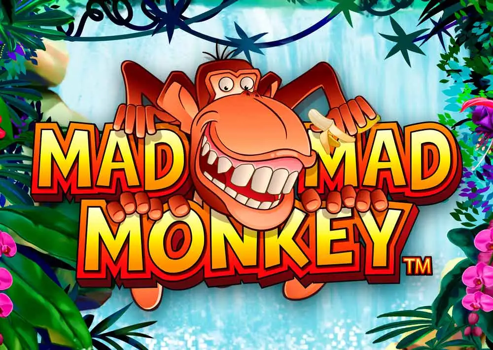 Mad Mad Monkey HQ