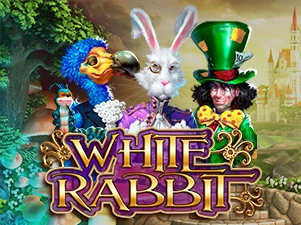 White Rabbit