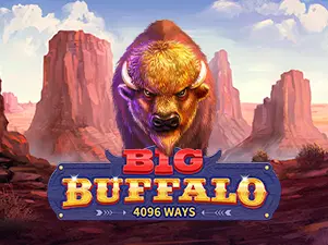 Big Buffalo