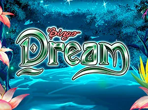 Bingo Dream