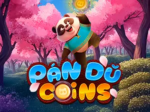 Pan Du Coins